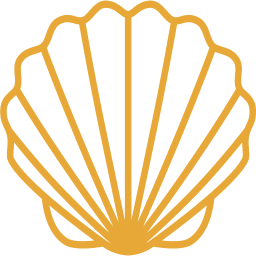 seashell