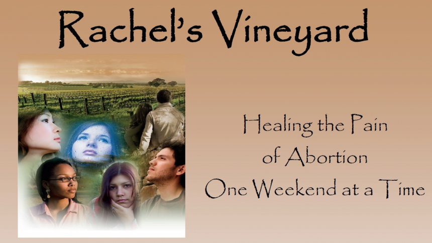 Rachels Vineyard