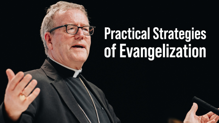 bishop barron strategies of evangelization