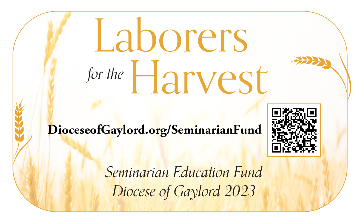 Seminarian Appeal 2.5x4 -  color