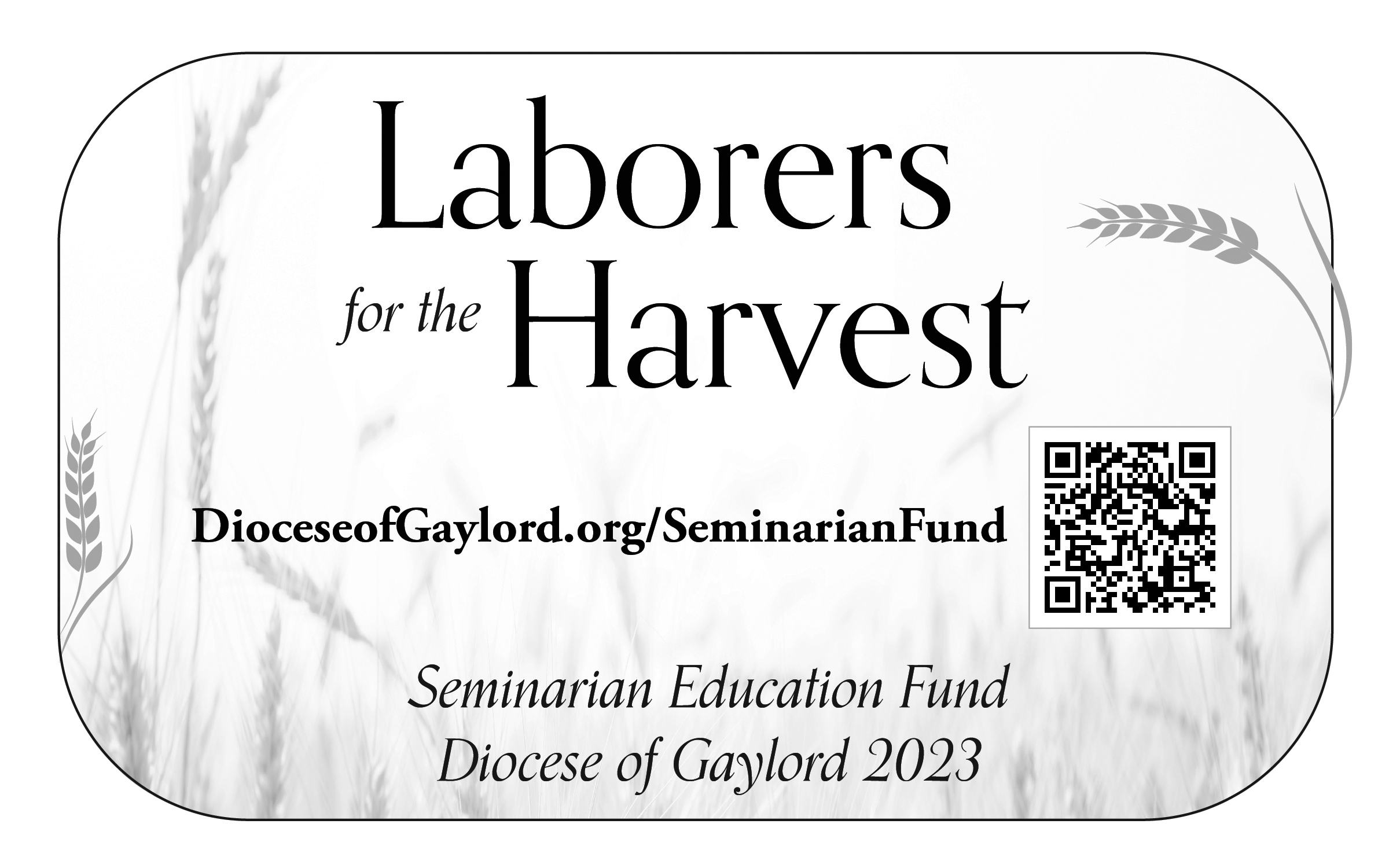 Seminarian Appeal 5x8 -  BW