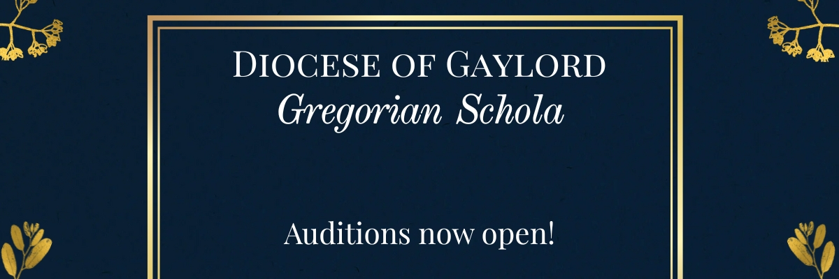 Schola auditions