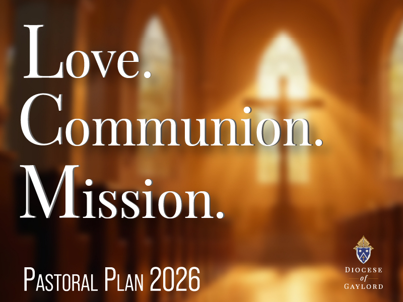 pastoral plan block image
