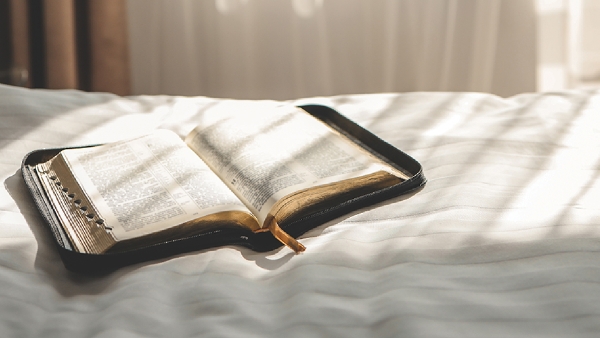 scripture for guidance