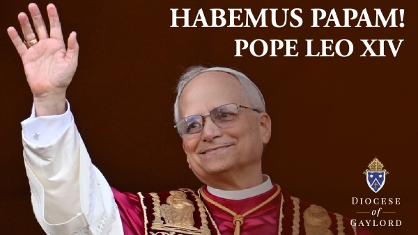 pope leo xiv