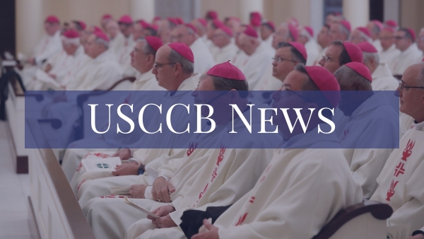 usccb news